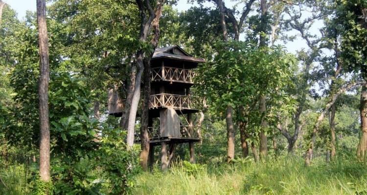 Safari por Chitwan - Nepal Social Treks 3