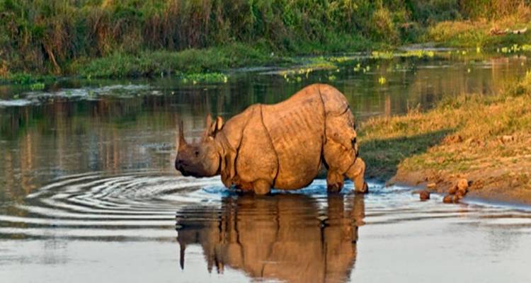 Safari por Chitwan - Nepal Social Treks 7