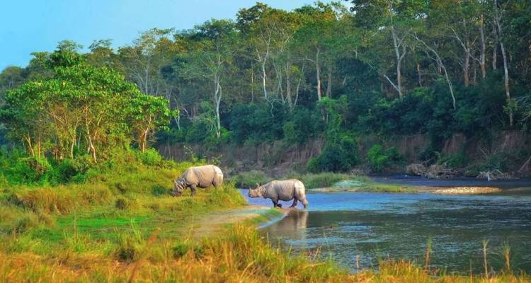 Safari por Chitwan - Nepal Social Treks 8