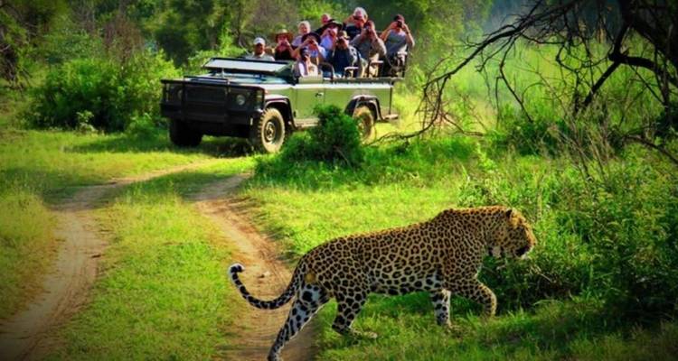 Safari por Chitwan - Nepal Social Treks 9