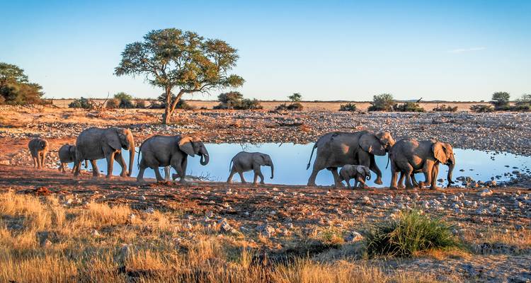 14 Tage Naturwunder Namibia, Botswana und Simbabwe - Oasis Travel 2
