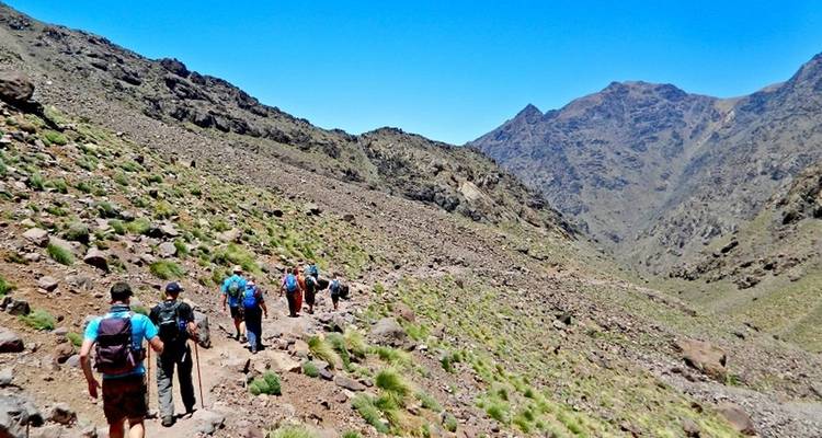 De las Cumbres a las Arenas: Expedición de 5 días al Toubkal y al Sáhara - CHECK INN MOROCCO 2