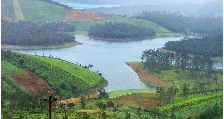 Explora las Encantadoras Colinas de Ooty y Munnar - MTA Destination Management Company 6