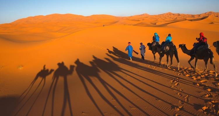 Une caravane de chameaux projetant de longues ombres sur le sable du désert.