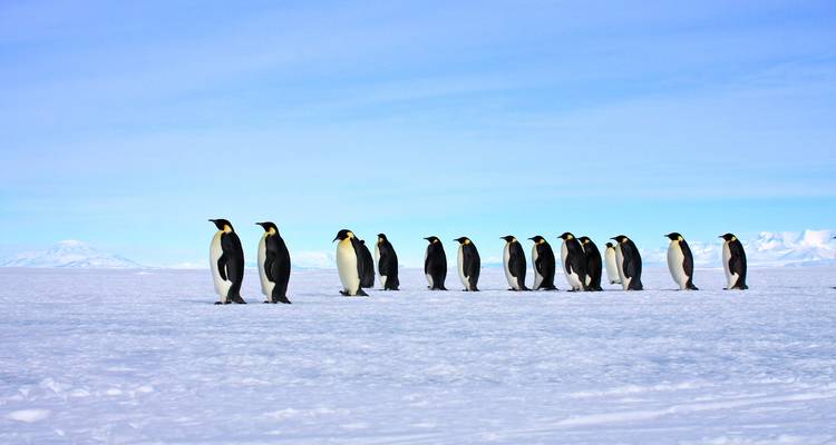 Odisea en el Mar de Ross - Douglas Mawson - Explore! 6