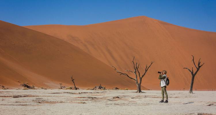 Une personne photographiant de grandes dunes de sable avec des arbres morts.