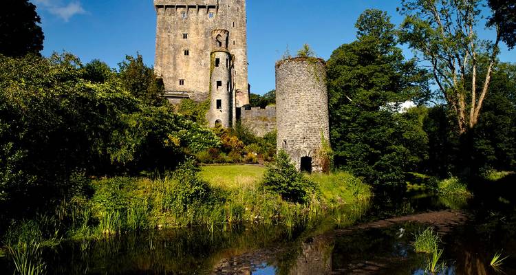 Château historique avec tour ronde entouré par la nature.