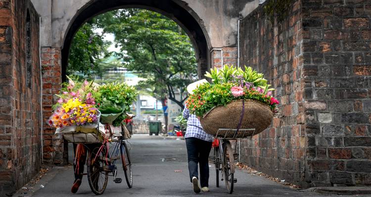 Vietnam Best Deal in 8 Days (Ho Chi Minh City, Da Nang & Hanoi Small Group Tour) - Up Travel Vietnam 3