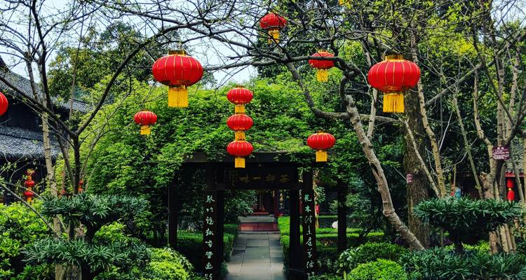 Jardin décoré de lanternes rouges dans un cadre traditionnel.
