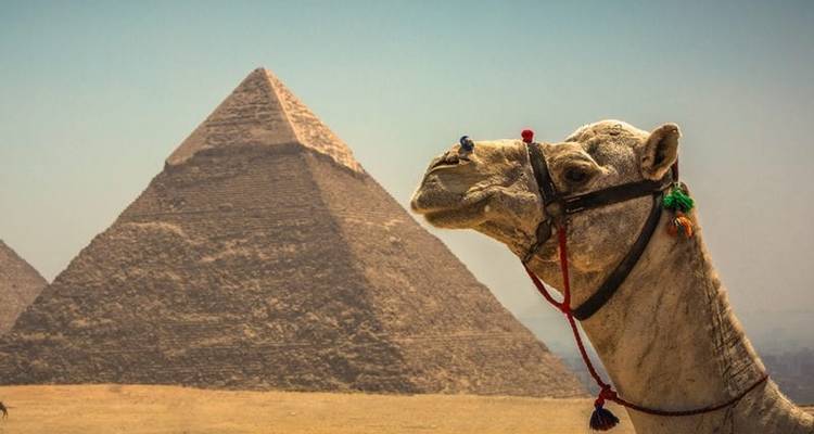 Essential Egypt 2025 (4 & 5 Star Hotels) - Travel Talk 6