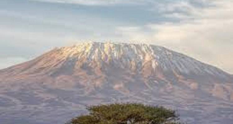 1 Día de Escalada al Kilimanjaro Experiencia en la Meseta de Shira - Kilingeadventures 1