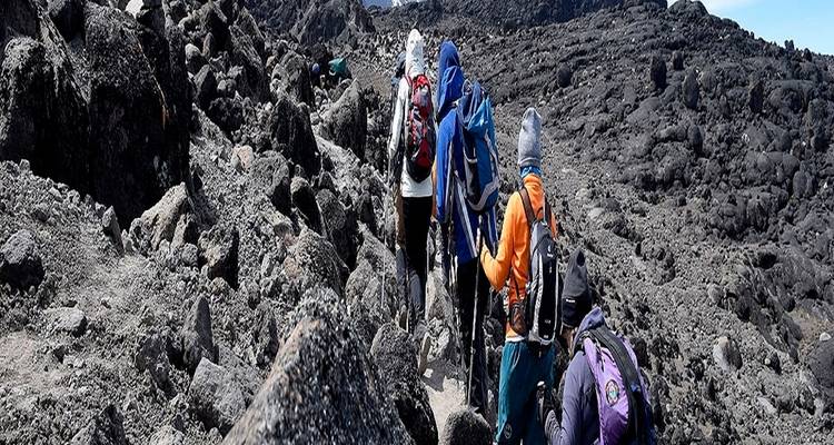 1 Día de Escalada al Kilimanjaro Experiencia en la Meseta de Shira - Kilingeadventures 3