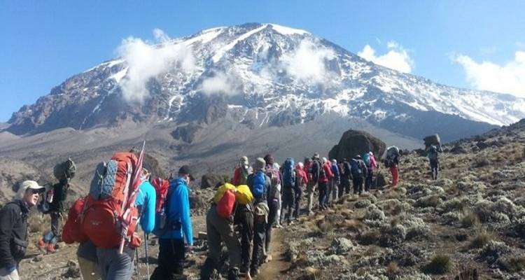 Perfect 1 Day Trip Kilimanjaro Lemosho Route - Kilingeadventures 3