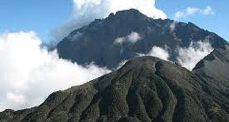 Perfect 1 Day Trip Kilimanjaro Lemosho Route - Kilingeadventures 4
