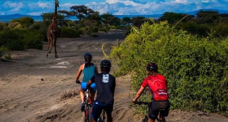 Meilleur circuit d'une journée à vélo sur le Kilimandjaro et le plateau de Shira. - Kilingeadventures 4