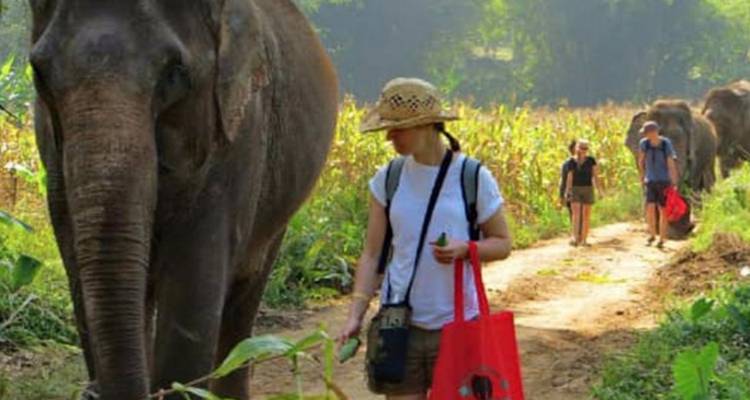 11 Days An All-Inclusive Thailand Leisure Honeymoon Tour (private guide & driver） - UME Travel Co. Ltd 9
