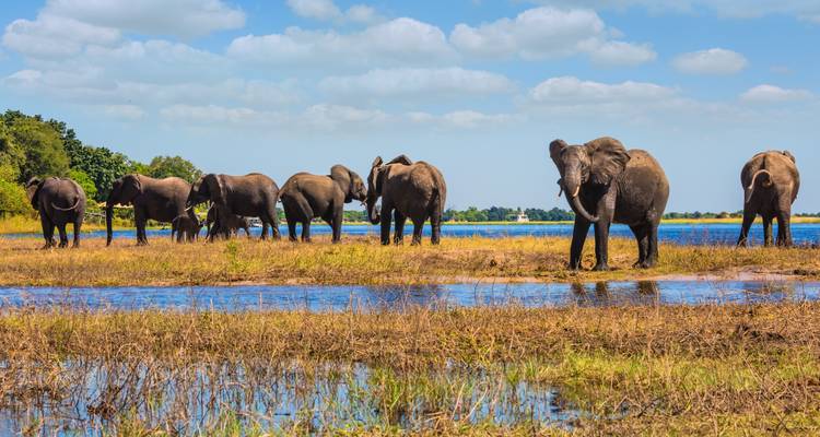 Safari por tierra de Johannesburgo a África Oriental - G Adventures 8