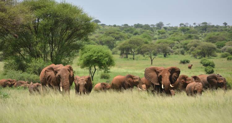Safari por tierra en África Absoluta - G Adventures 3