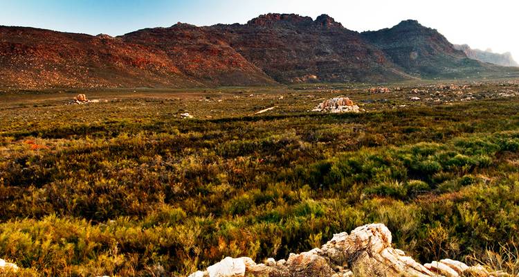 Expansive scrubland plain leading to orange-red rocky mountains beneath a clear sky.