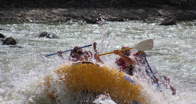 Gorilas de Uganda Safari por Tierra y Participación Camping - G Adventures 3