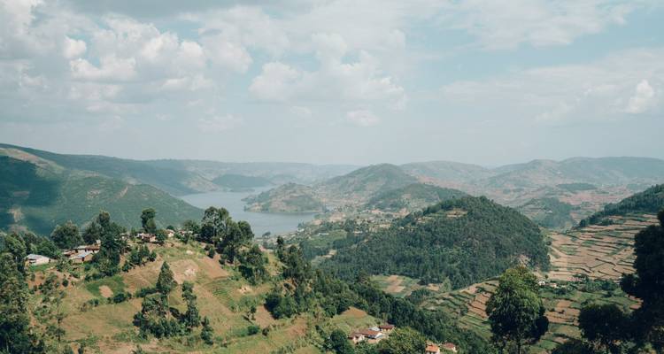 Gorilas de Uganda Safari por Tierra y Participación Camping - G Adventures 5
