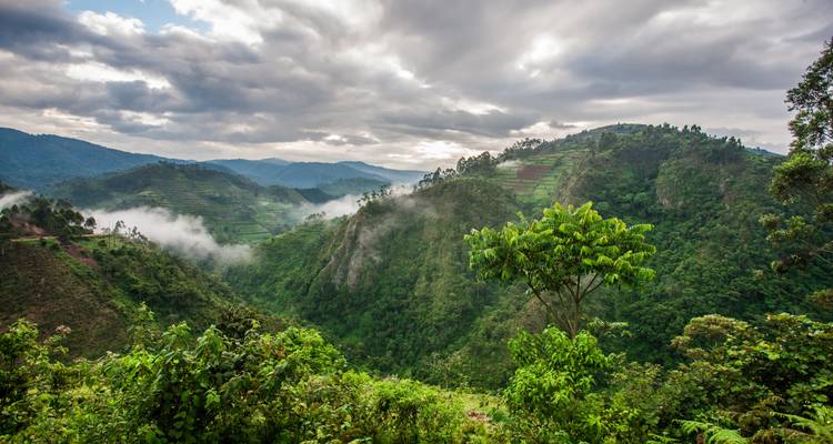 Uganda to Tanzania Overland Safari G Adventures - G Adventures 8
