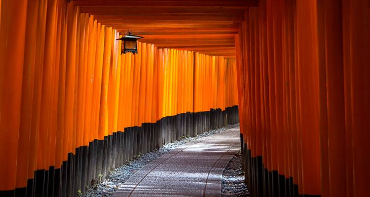Trésors culturels du Japon (de Tokyo à Kyoto) (2025) - Collette 1