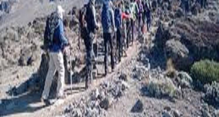 The Best 6 Days Lemosho Route: Kilimanjaro Trekking - Kilingeadventures 1