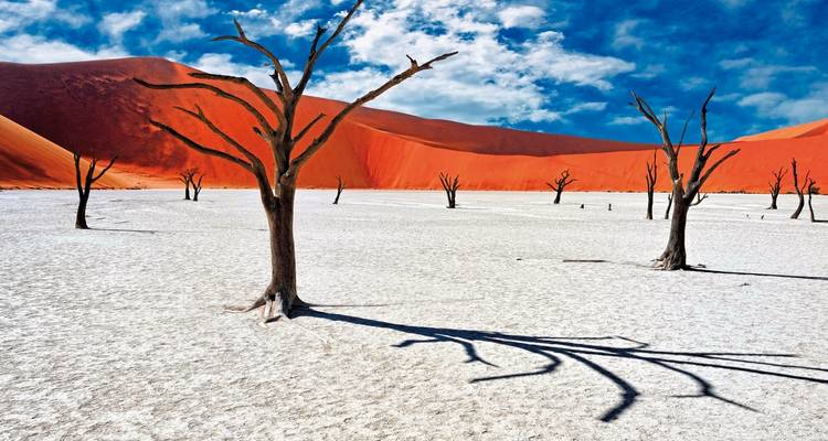 Gebleichte Kameldornbäume stehen auf einer rissigen weißen Pfanne vor türmenden orangefarbenen Dünen unter einem leuchtenden Himmel in Deadvlei.