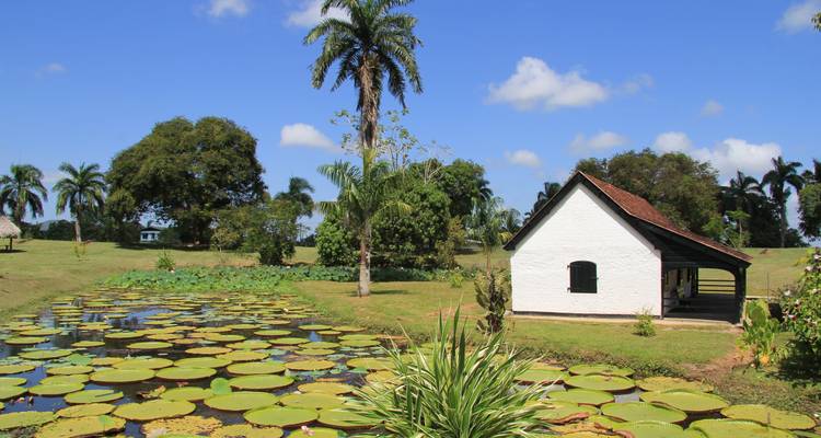 Suriname, Guyana and French Guyana Round Trip - 18 Days - Oasis Travel 1