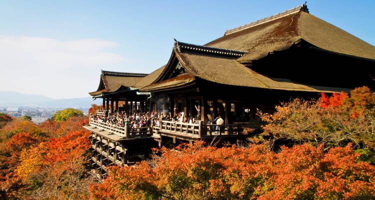 El icónico templo de madera Kiyomizu-dera encaramado sobre el vibrante follaje de otoño y la vista de la ciudad.