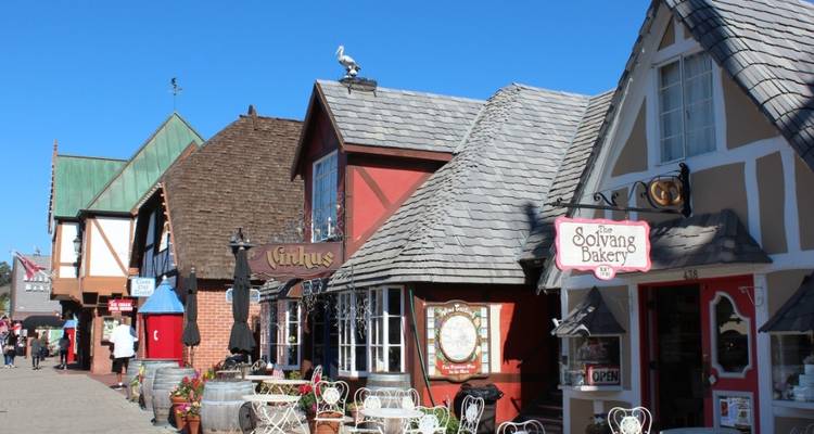 Costa Central de California: Redwoods, Castillo de Hearst, Región vinícola, Solvang y Santa Bárbara | De San Francisco a Los Ángeles - Toast Tours LLC 3
