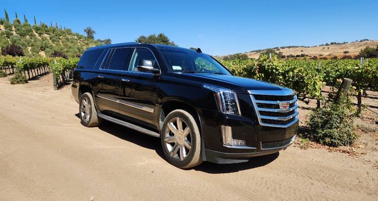 Costa Central de California: Redwoods, Castillo de Hearst, Región vinícola, Solvang y Santa Bárbara | De San Francisco a Los Ángeles - Toast Tours LLC 6