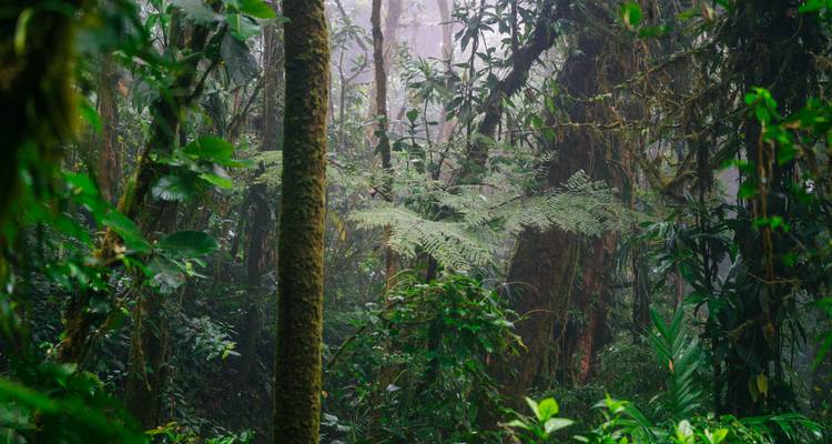Aventure naturelle au Costa Rica (plage de Guanacaste, fin à Liberia, 10 jours, départ gratuit de Tamarindo à Liberia Apt) - Trafalgar 8