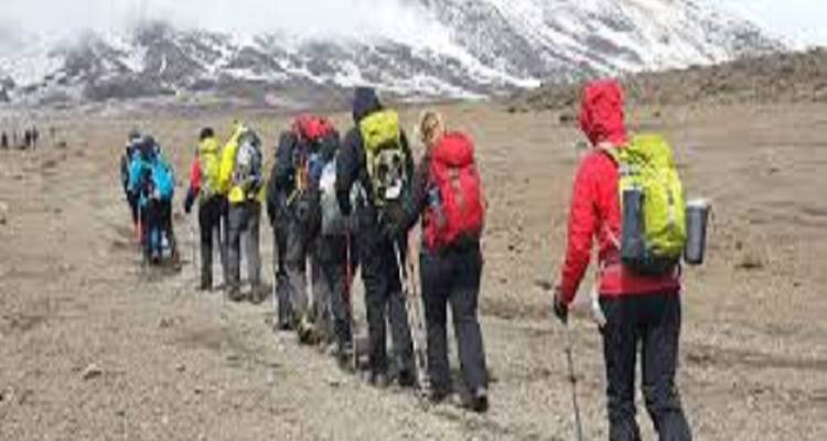 Best 4 Days Rongai Kilimanjaro Trekking Route - Kilingeadventures 2