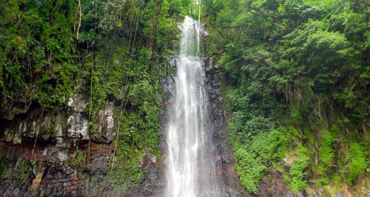 Cascadas y barones del cacao - DIAMIR Erlebnisreisen 9
