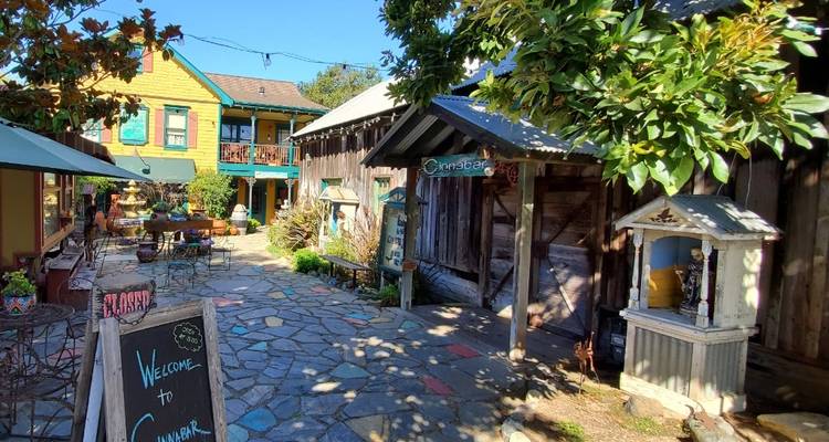 California's Central Coast from San Francisco: Coastal Redwoods, Santa Cruz, Hearst Castle & Wine Country - Toast Tours LLC 3