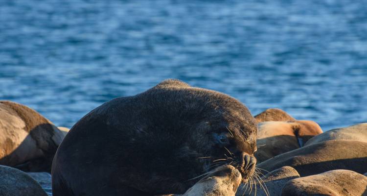 Puerto Madryn en voiture (4 jours) - Hi Travel Argentina 4