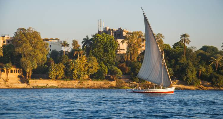 Una faluca navegando en el Nilo con un paisaje urbano arbolado de fondo.