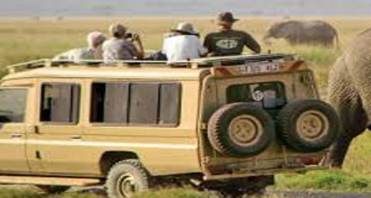 Mejor época para el safari en Tanzania - Kilingeadventures 3