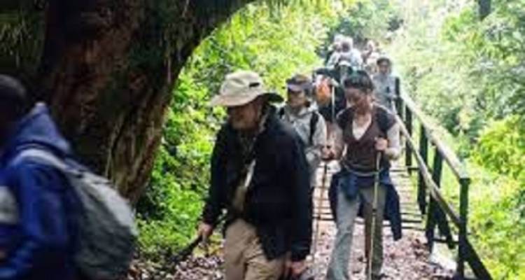 Profitez de la meilleure offre de safari pédestre en Tanzanie, Serengeti et Manyara - Kilingeadventures 2