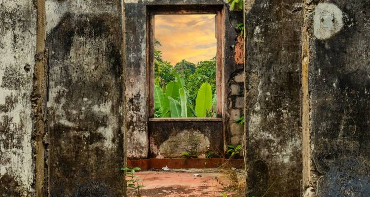 Cascadas, barones del cacao e Isla de los Príncipes - DIAMIR Erlebnisreisen 8
