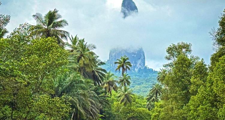 Dense jungle with a tall, cloud-covered mountain in the background.