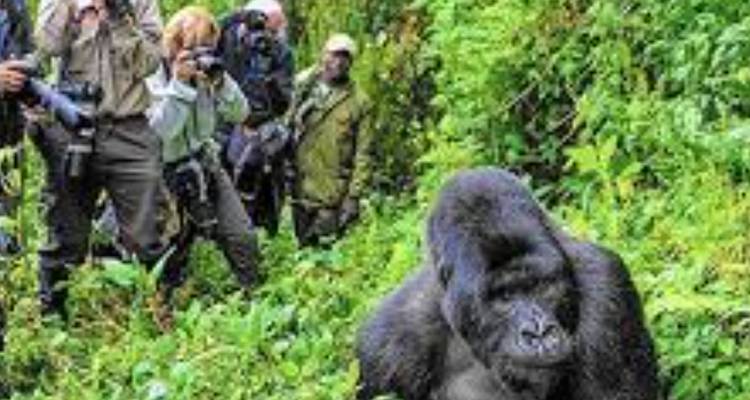 30-Day Ultimate Africa Private Expedition - Professional Safari Africa 4
