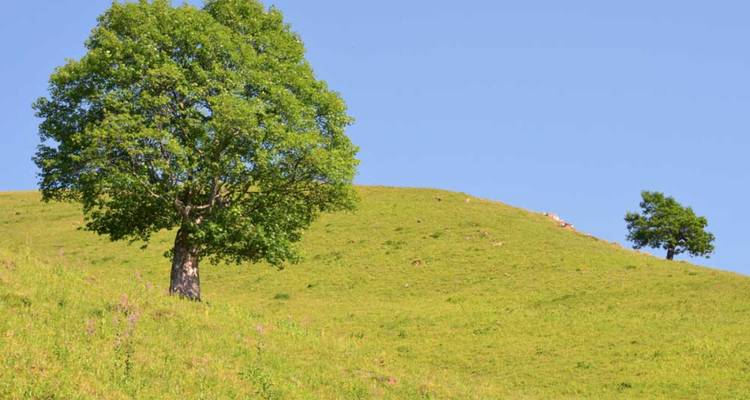 Viaje privado intensivo de 3 días por Azerbaiyán - Azerbaijan Guide 4