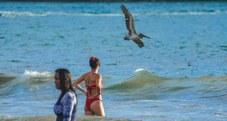 Twee vrouwen genieten van de zee met vogels die overhead vliegen.