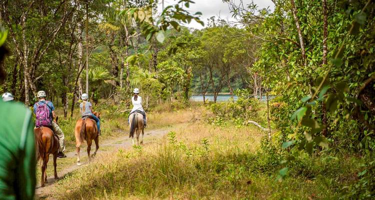 Groupe de personnes faisant de l'équitation sur un sentier forestier.