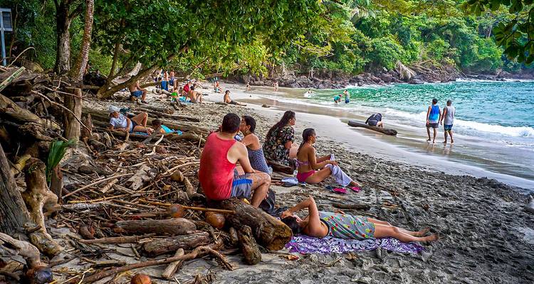 Des gens se détendent et profitent d'une plage avec des arbres qui offrent de l'ombre.