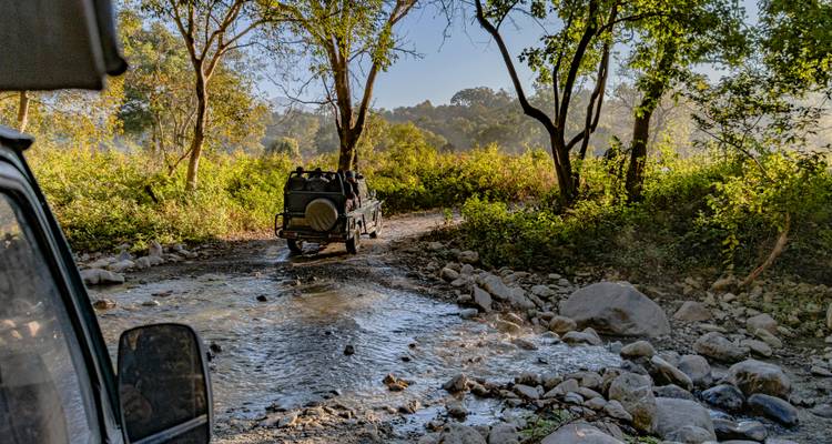 Jim Corbett Tiger Safari Tour With Delhi : Accommodations! - Yoganshi Travel 9