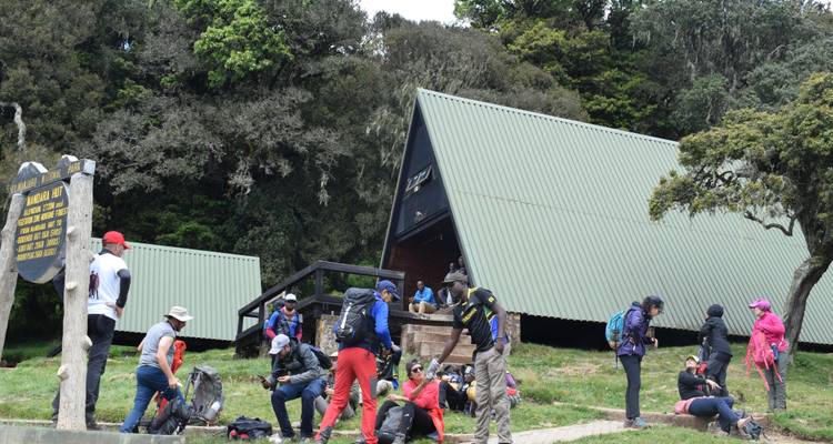 1 day mount Kilimanjaro short trek - Serengeti Access Safaris 2